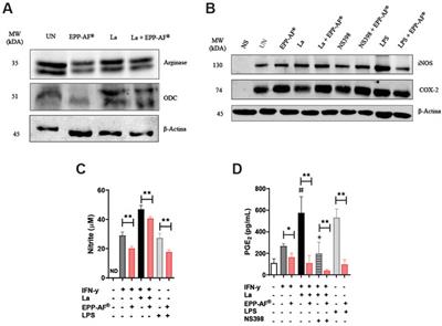 Leishmanicidal and immunomodulatory properties of Brazilian green propolis extract (EPP-AF®) and a gel formulation in a pre-clinical model